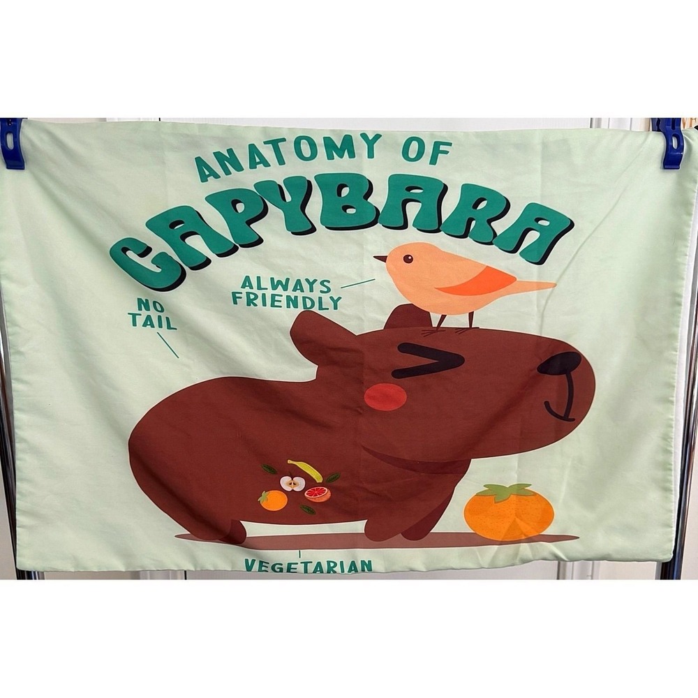 Capybara twin comforter and one pillowcase - Picture 3 of 3